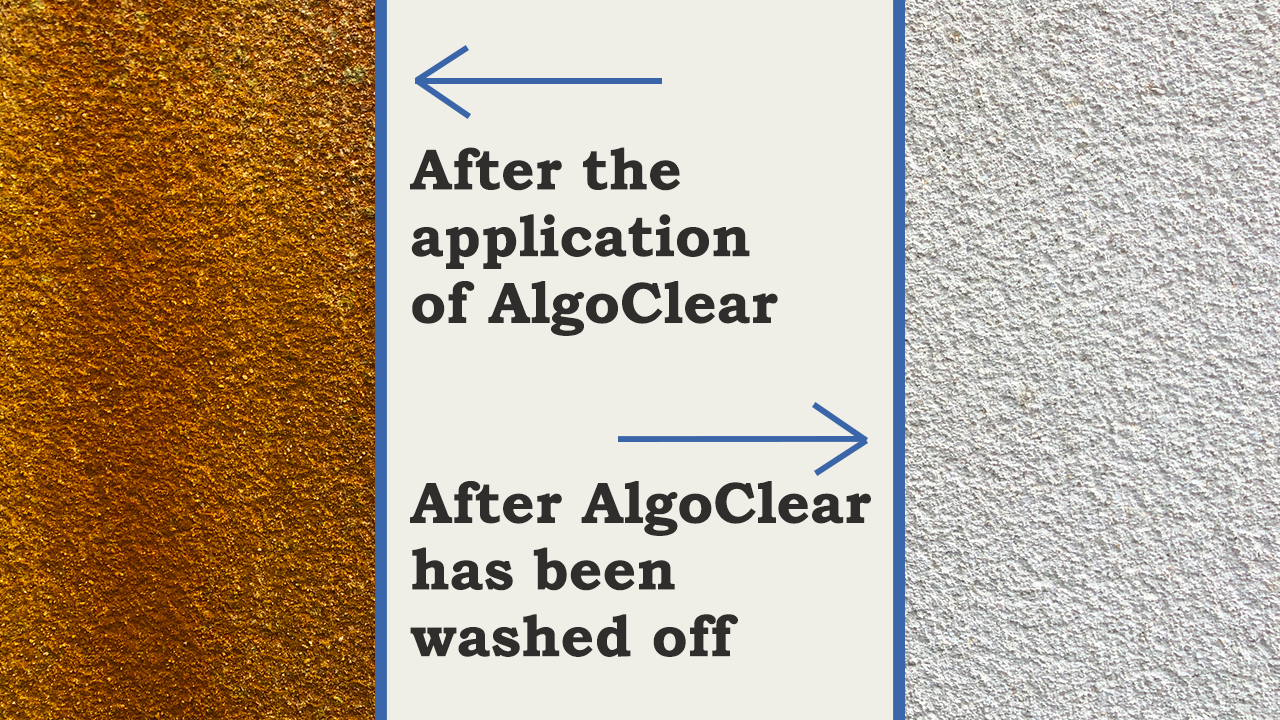 before and after AlgoClear treatment