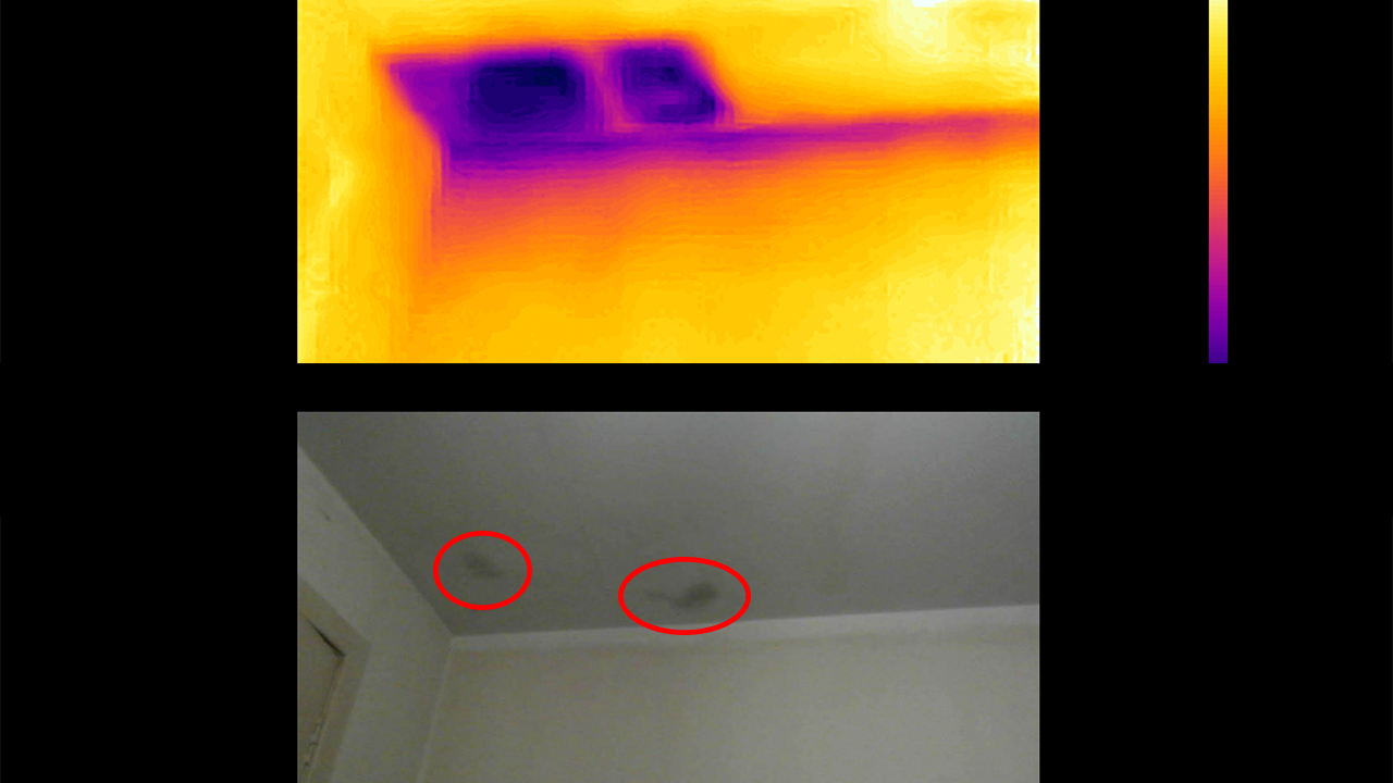 thermal internal survey