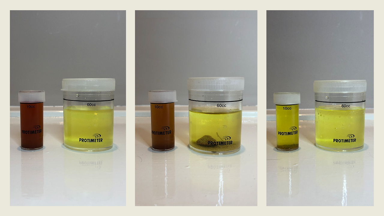 test samples using protimeter salt analysis kit